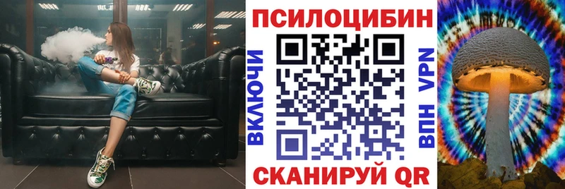 Купить закладки  Спасск  Галлюциногенные грибы Cubensis 