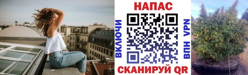 Марихуана конопля  Купить  Спасск 